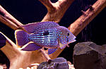 IMG 8177