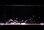 IMG 1365
