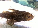 IMG 5775