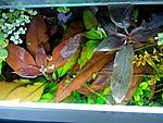 IMG 20140627 115816