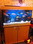 IMG 5766