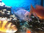 IMG 5722