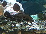 IMG 5792