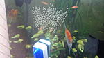 IMG 20140519 183512
