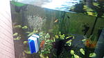 IMG 20140519 183524