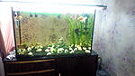IMG 20140519 190039