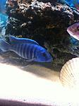 IMG 5712