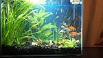 IMG 20140105 211135 408