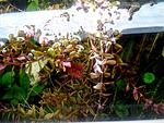 IMG 20140712 192012
