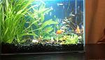IMG 20140105 211129 872