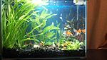 IMG 20140105 211133 184