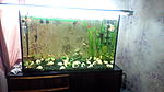 IMG 20140519 190047