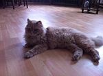 IMG 0484