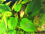IMG 5356