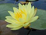 getImage (17)