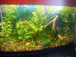 IMG 20140722 191034