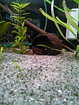 IMG 20140719 151240