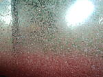 DSC05937