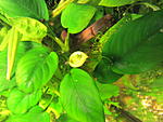 IMG 5358