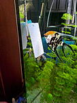 IMG 20140721 143353