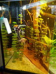 IMG 20140721 182746