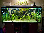 IMG 20140720 200954