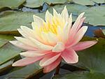 getImage (11)