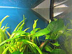 IMG 5357
