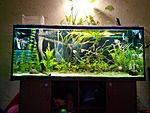 IMG 20140720 201000