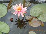 getImage (6)