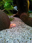 IMG 20140719 151334