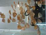IMG 4029