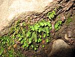 IMG 7162