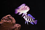 IMG 4817