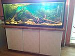IMG 20140809 143942