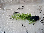 IMG 7260