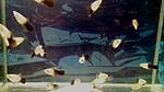 IMG 20140803 113719