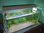 IMG 6154