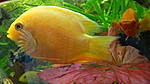 DSC05458