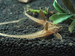 IMG 0740