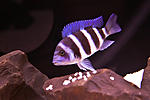 IMG 4877