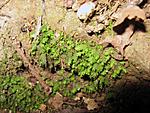 IMG 7163