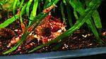 DSCF6107