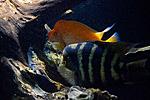 20140803 IMG 4875