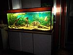 IMG 20140811 210557[1]