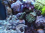 DSCN1799