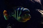 20140812 IMG 4951