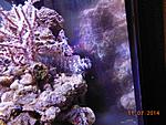 DSCN1709