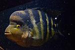 20140812 IMG 4947
