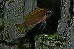DSC 1358